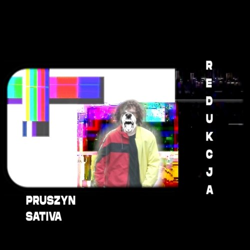 Redukcja Pruszyn, Sativa