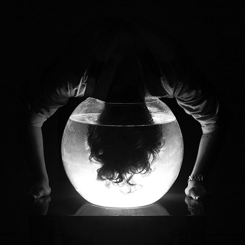 Reflection Alex