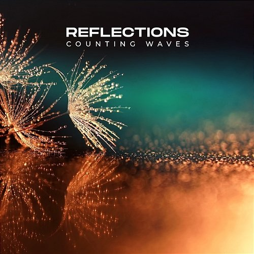 Reflections Counting Waves