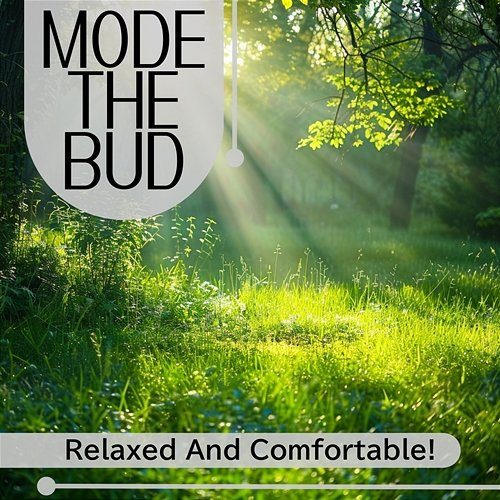 Relaxed and Comfortable ! Mode The Bud
