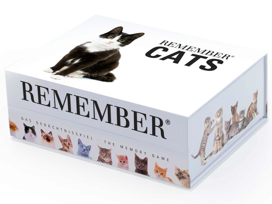 Remember, gra edukacyjna Memory Remember