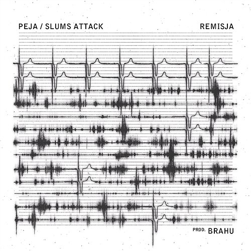 Remisja Peja Slums Attack