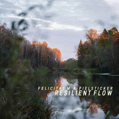 Resilient Flow Felicitas M. A. Pielsticker