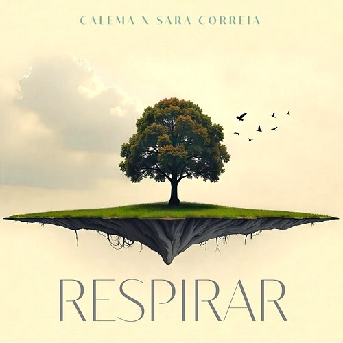 Respirar Calema, Sara Correia