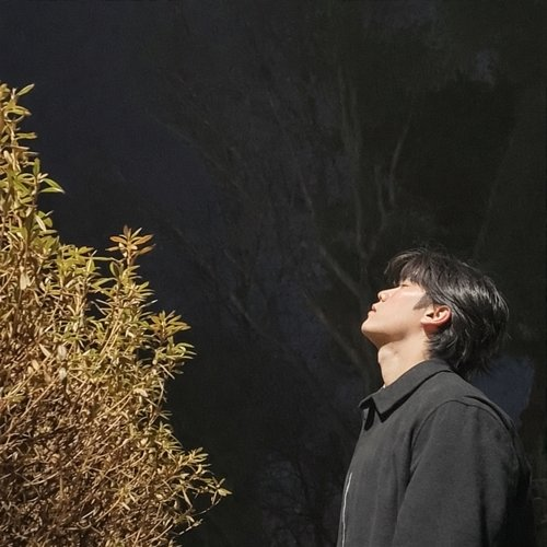return Jae Kyung