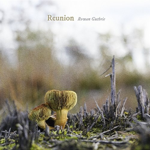 Reunion Rowan Guthrie