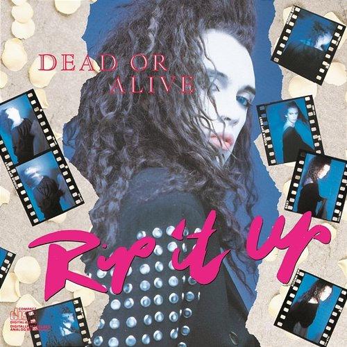 Rip It Up Dead Or Alive