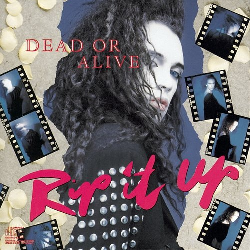 RIP IT UP Dead Or Alive