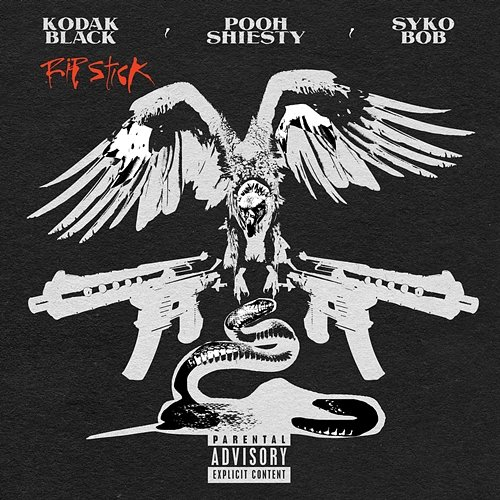 Rip Stick Kodak Black feat. Pooh Shiesty, Sykobob