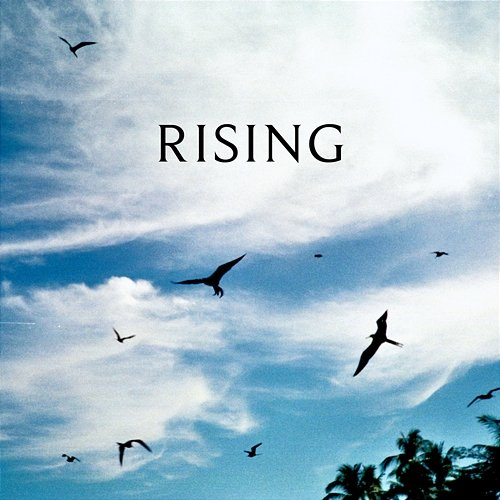 rising Reuben and the Dark