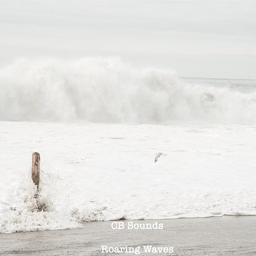Roaring Waves CB Sounds