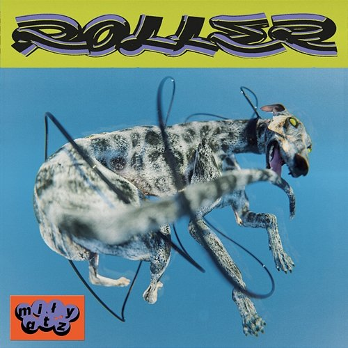 ROLLER Miły Atz