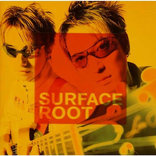 Root Surface
