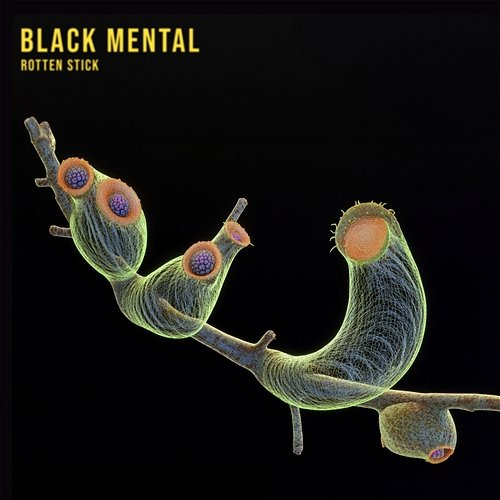 Rotten Stick Black Mental