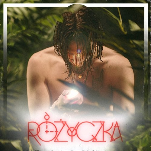Różyczka Vixen