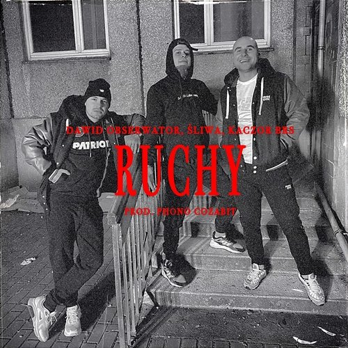 Ruchy Dawid Obserwator, Śliwa, Kaczor BRS