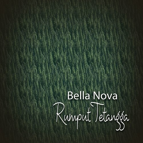 Rumput Tetangga Bella Nova