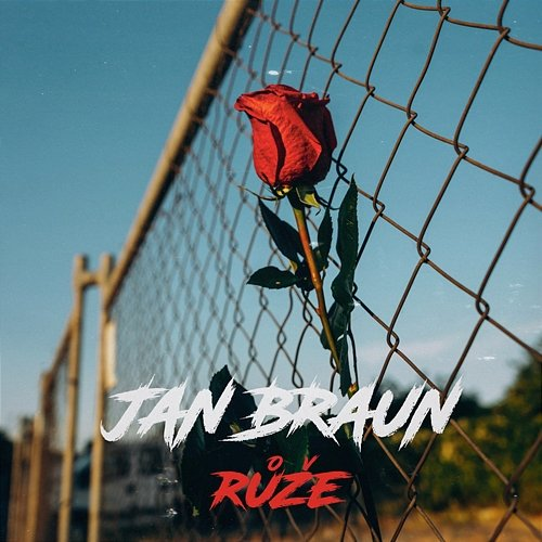 Růže Jan Braun