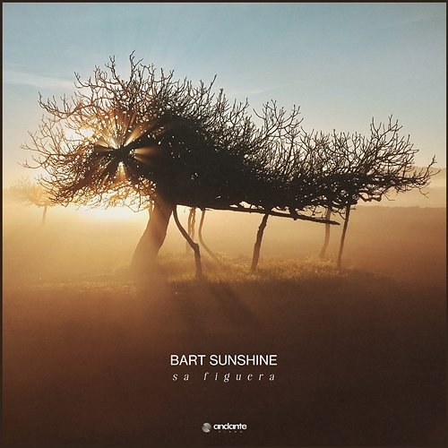 Sa Figuera Bart Sunshine