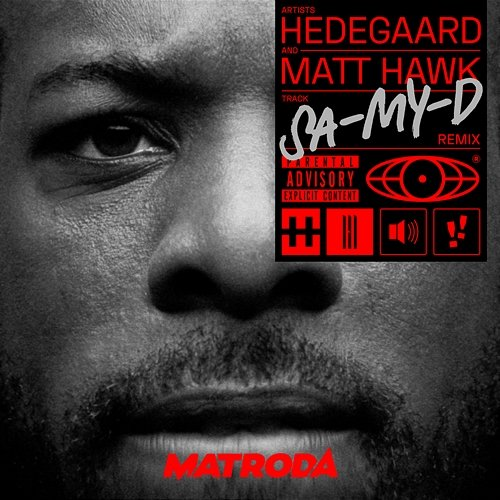 SA-MY-D Hedegaard, Matt Hawk