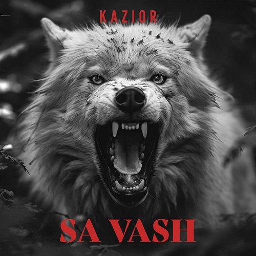 Sa vash Syru, Kazior