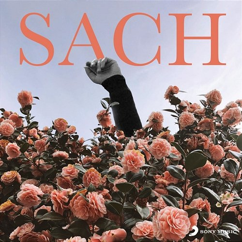 Sach Siddhant, Dronark