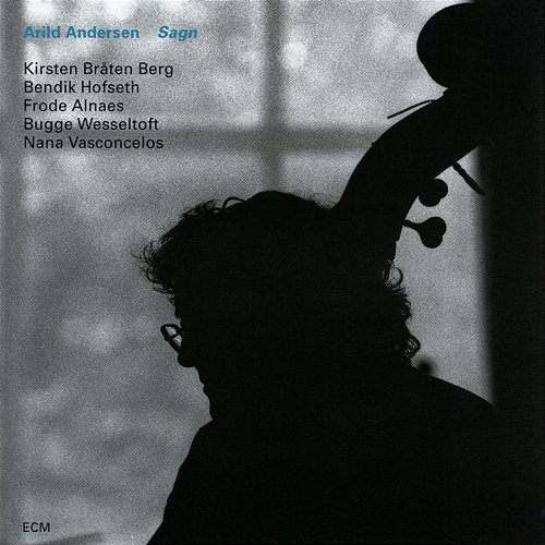 Sagn Arild Andersen