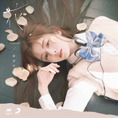 SAKURA kiku