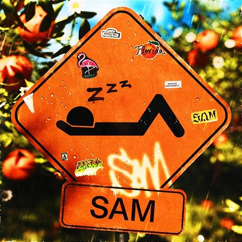 SAM Zzz.