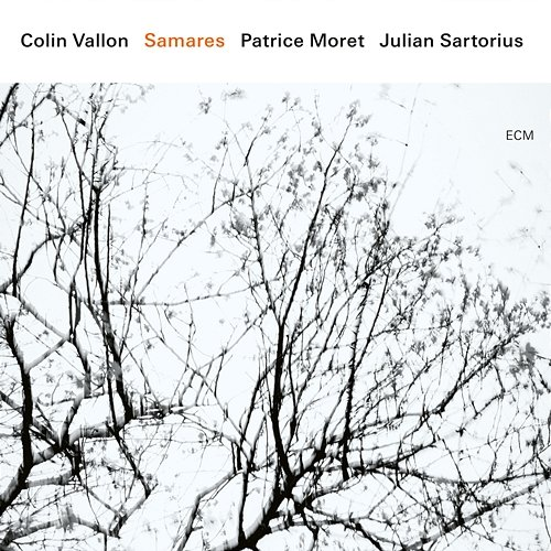 Samares Colin Vallon feat. Patrice Moret, Julian Sartorius