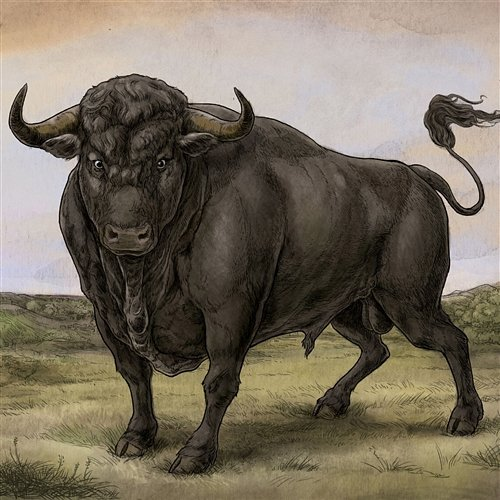 San Fermin San Fermin