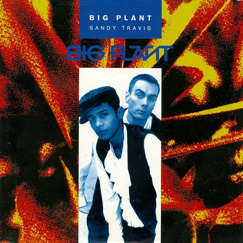 Sandy Travis Big Plant