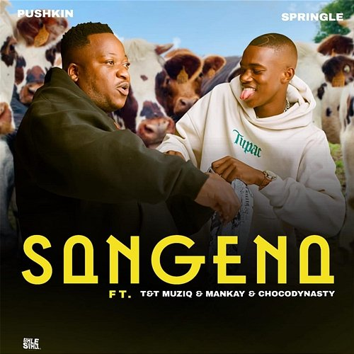 Sangena Pushkin RSA & Springle feat. Mankay & Choco Dynasty, T&T Muziq