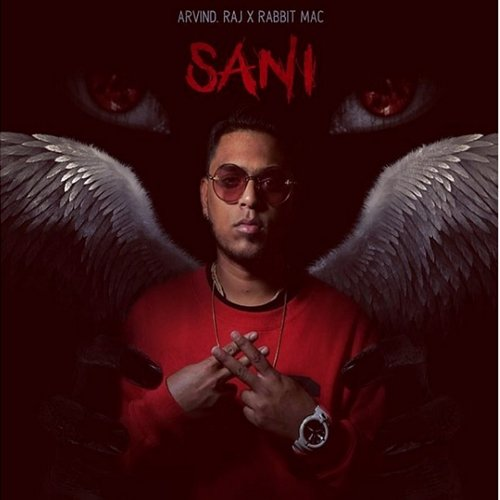 Sani Arvind Raj, Rabbit Mac