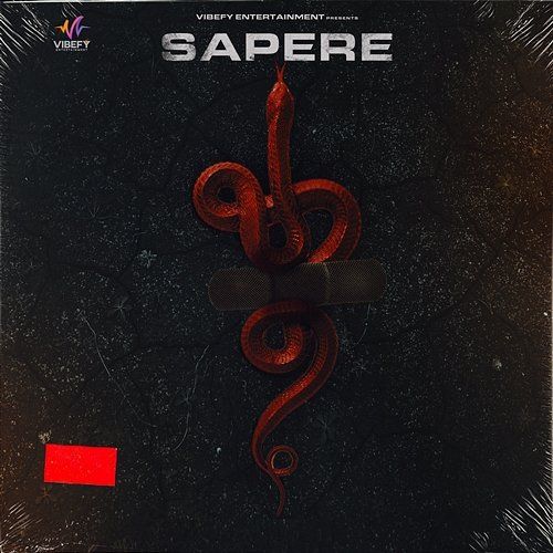 Sapere Vipul Kapoor & Mad Music