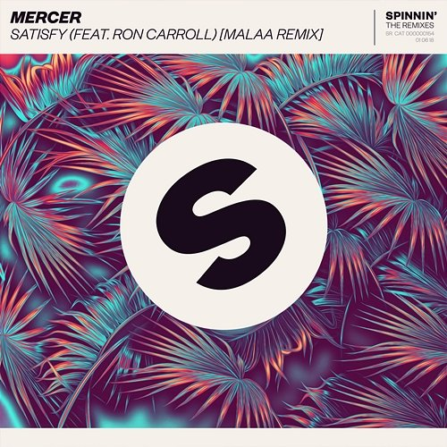 Satisfy Mercer feat. Ron Carroll