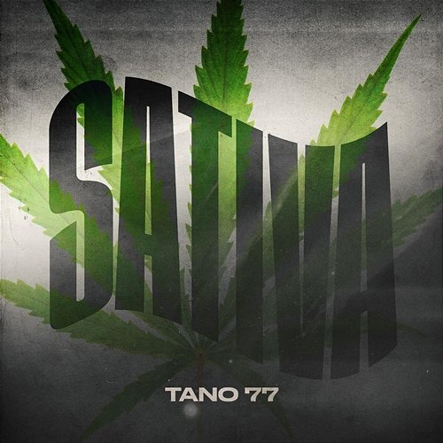 Sativa TANO77