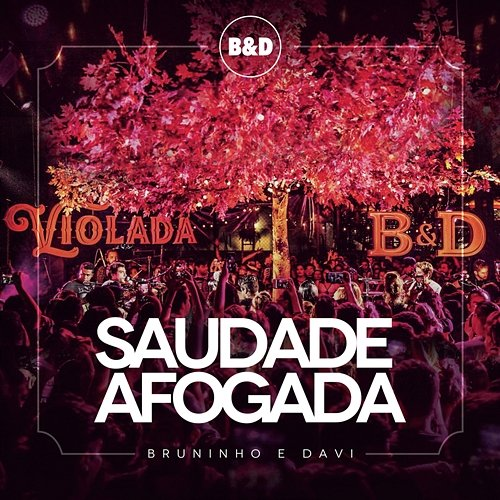 Saudade Afogada Bruninho & Davi