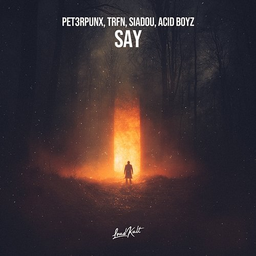 SAY PET3RPUNX, TRFN, Siadou & Acid Boyz