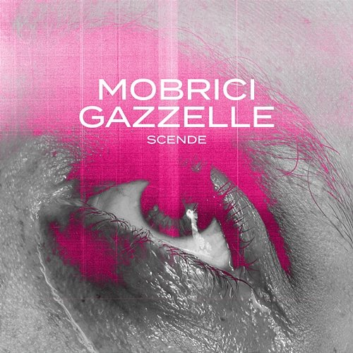 SCENDE MOBRICI, Gazzelle