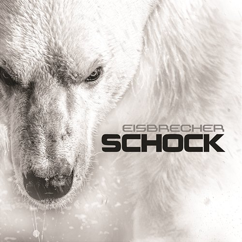 Schock Eisbrecher