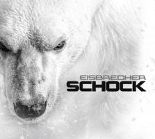 Schock Eisbrecher