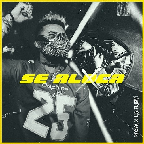 Se Aloca Dj Rocka, Lleflight