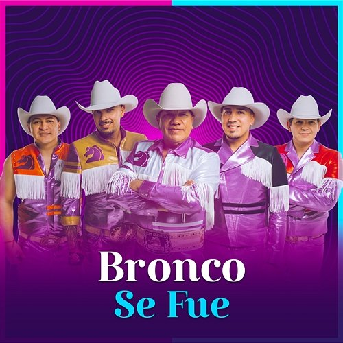 Se Fue Bronco, LP Norteño