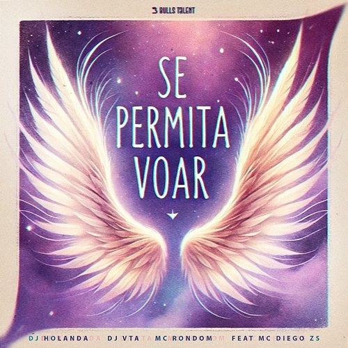 SE PERMITA VOAR Dj Vta & MC Rondom feat. MC Diego ZS, DJ Holanda