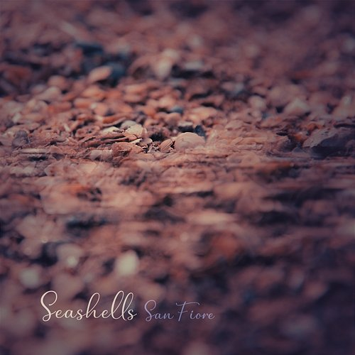 Seashells San Fiore