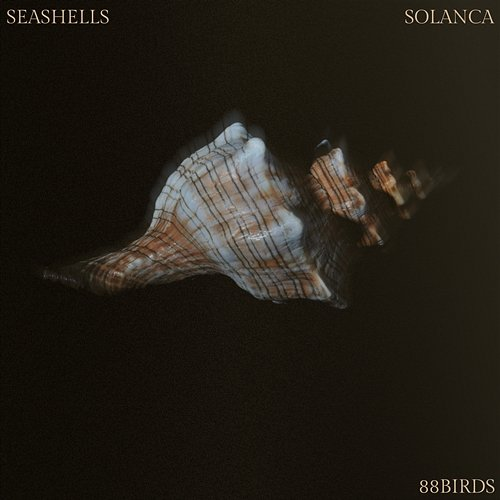 Seashells 88Birds, Solanca