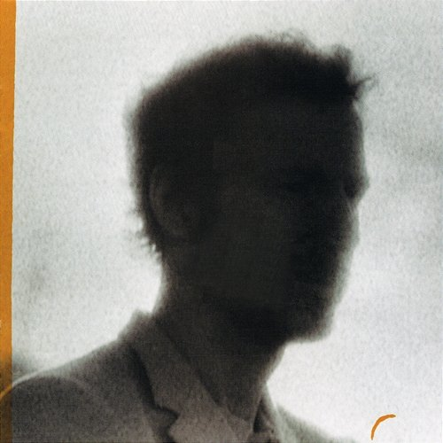 See Through Me Randall Bramblett