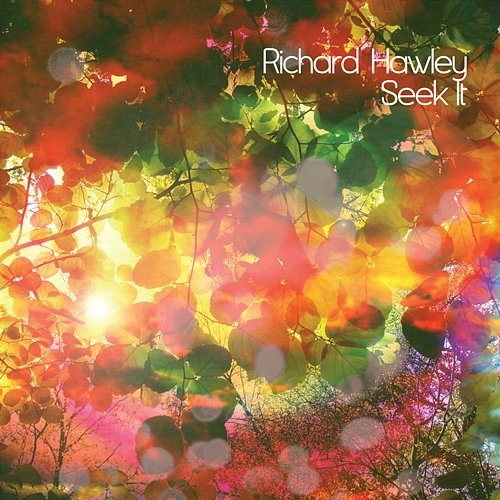 Seek It Richard Hawley