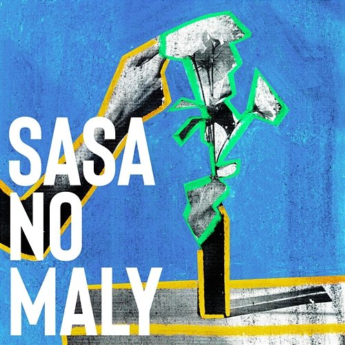 SEI sasanomaly